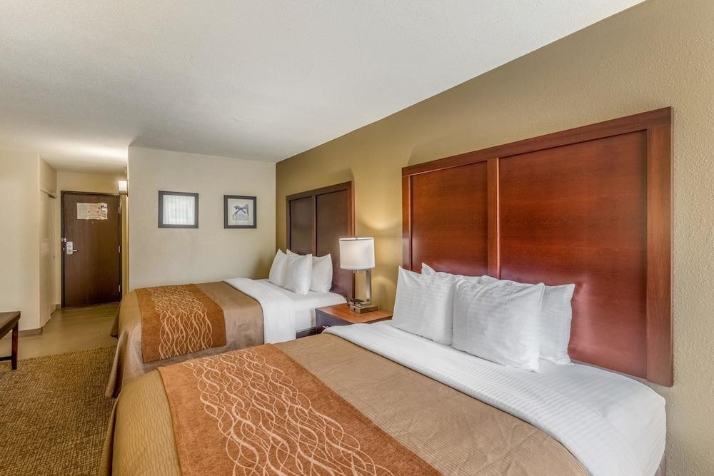 COMFORT INN EXECUTIVE PARK photo 3