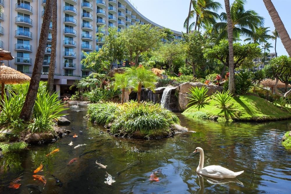 WESTIN MAUI RESORT & SPA photo 3