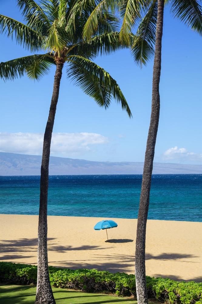WESTIN MAUI RESORT & SPA photo 4