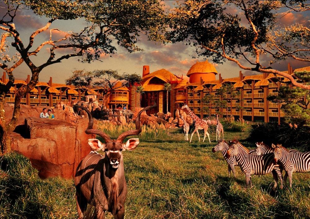 DISNEY'S ANIMAL KINGDOM LODGE photo 4