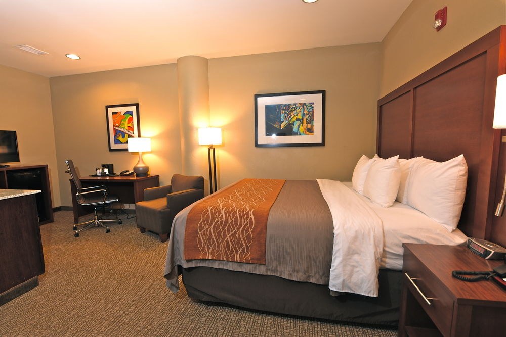 COMFORT INN DOWNTOWN MEMPHIS photo 1