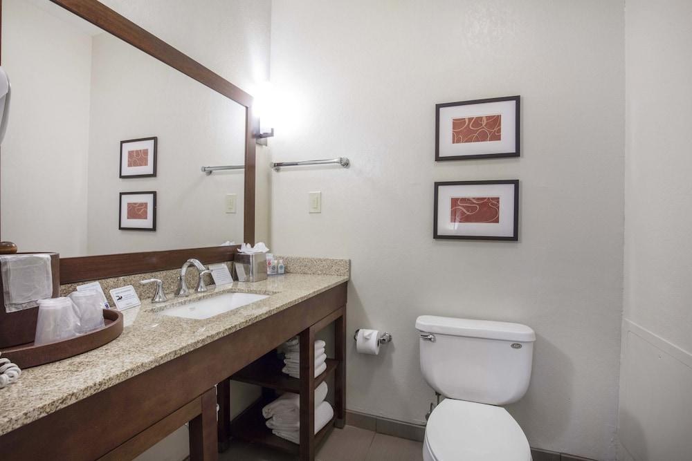 COMFORT INN DOWNTOWN MEMPHIS photo 3
