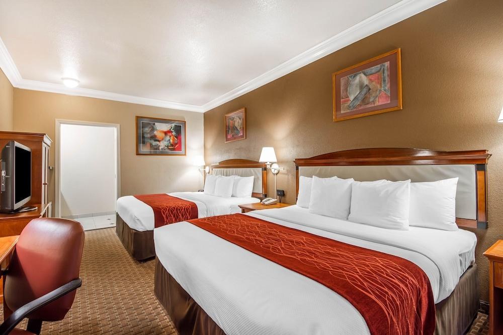 COMFORT INN AND SUITES SAN FRANCISCO AIRPORT NORTH photo 2