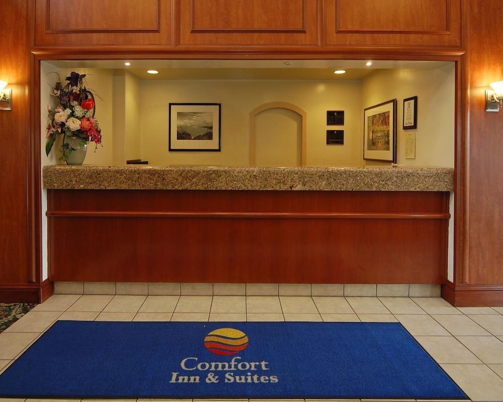 COMFORT INN AND SUITES SAN FRANCISCO AIRPORT NORTH photo 3