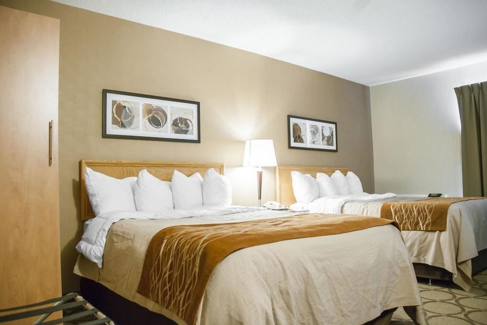 COMFORT INN BROSSARD photo 4