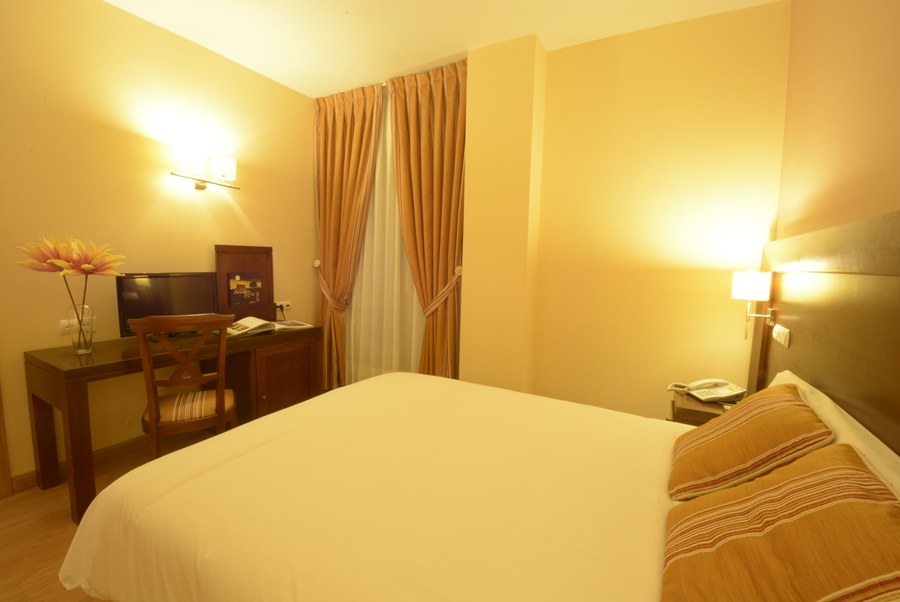HOTEL CAMPOS DE CASTILLA photo 3