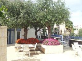 PRIMA GALIL photo 2