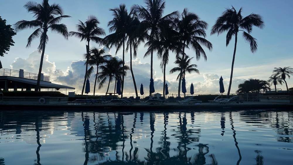 MIAMI BEACH RESORT photo 4