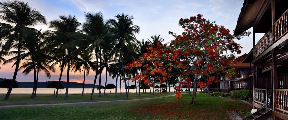 PELANGI BEACH RESORT & SPA photo 1