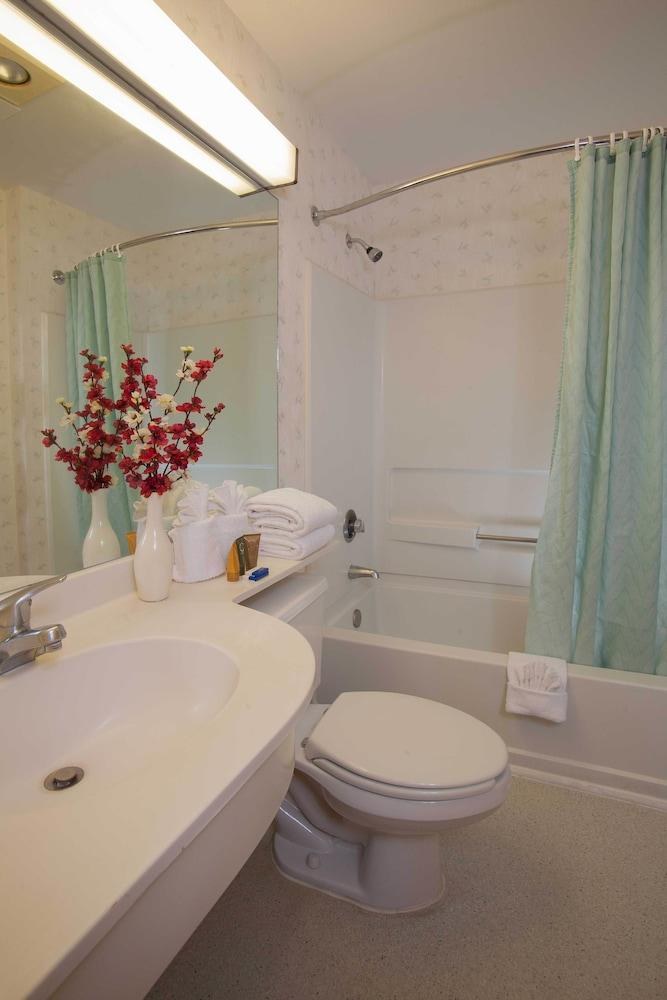 JACKSONVILLE PLAZA HOTEL & SUITES photo 3