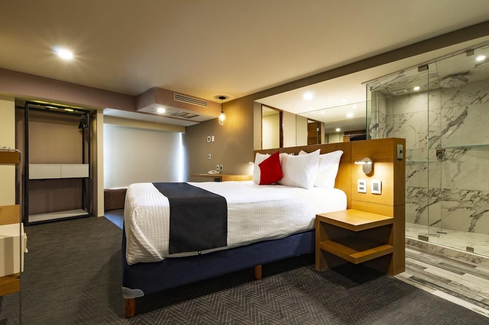 HOTEL ZONA ROSA photo 3