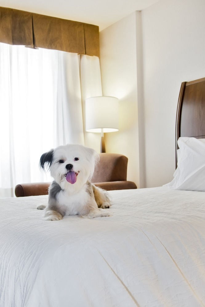 Hilton Garden Inn Saskatoon Downtown