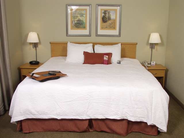 Hampton by Hilton San Jose Airport photo 2