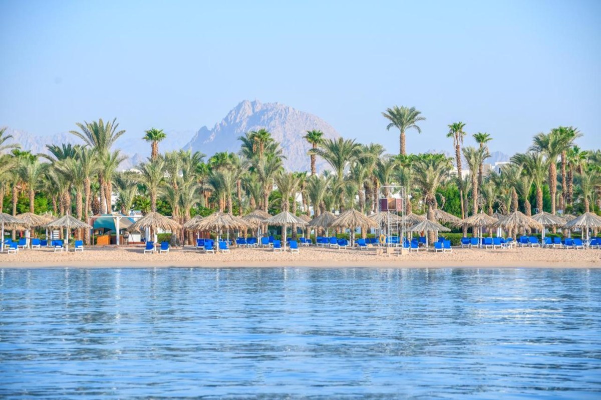 JAZ SHARM DREAMS photo 2
