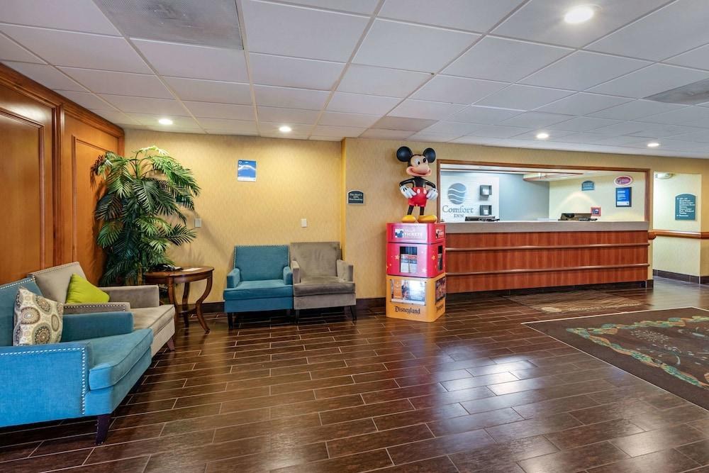 COMFORT INN & SUITES ANAHEIM photo 4