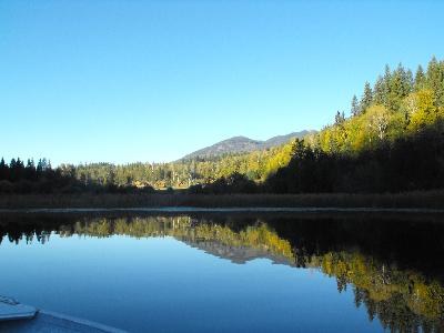 ALPINE MEADOWS RESORT photo 3