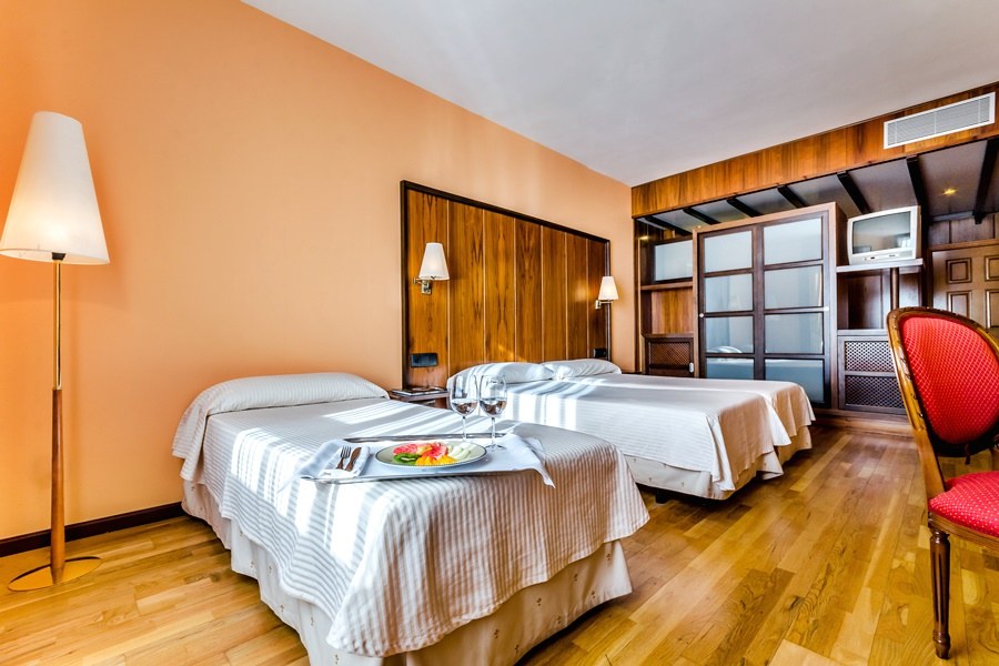 HOTEL DONA BRIGIDA - SALAMANCA FORUM photo 3