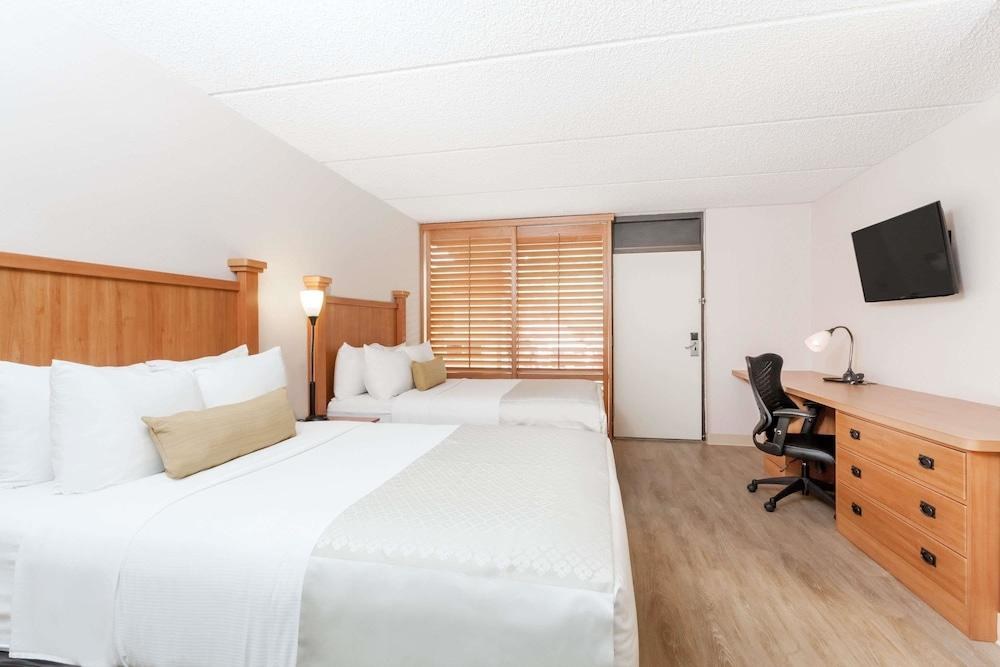 WYNDHAM GARDEN INN- AUSTIN photo 2
