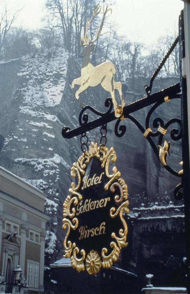 Goldener Hirsch photo 3