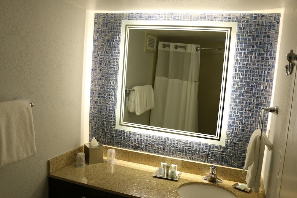 WYNDHAM LAKE BUENA VISTA RESORT photo 4