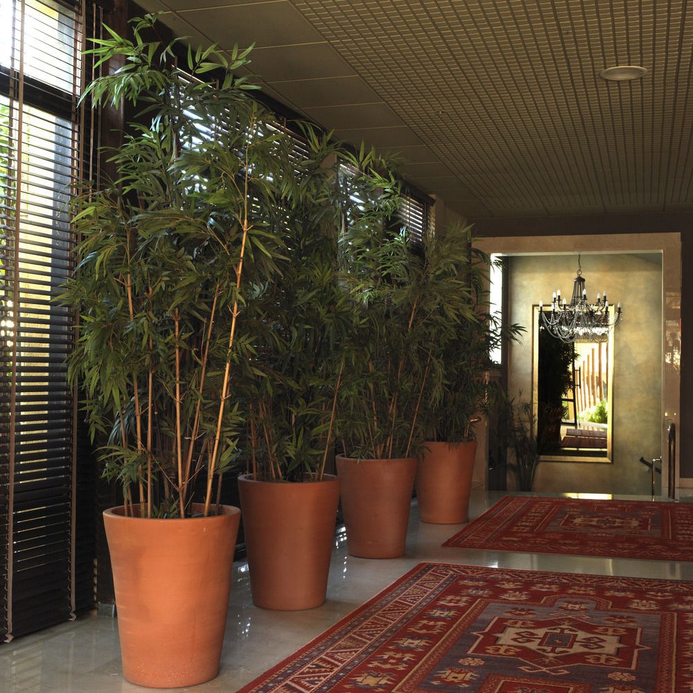 LUNA PARK HOTEL YOGA & SPA photo 1