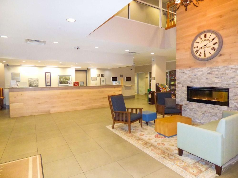 Spark by Hilton Orlando Universal Blvd photo 3