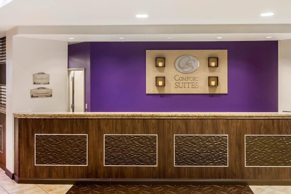 COMFORT SUITES MAINGATE EAST photo 2