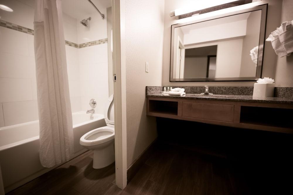 HOLIDAY INN RALEIGH DOWNTOWN photo 2