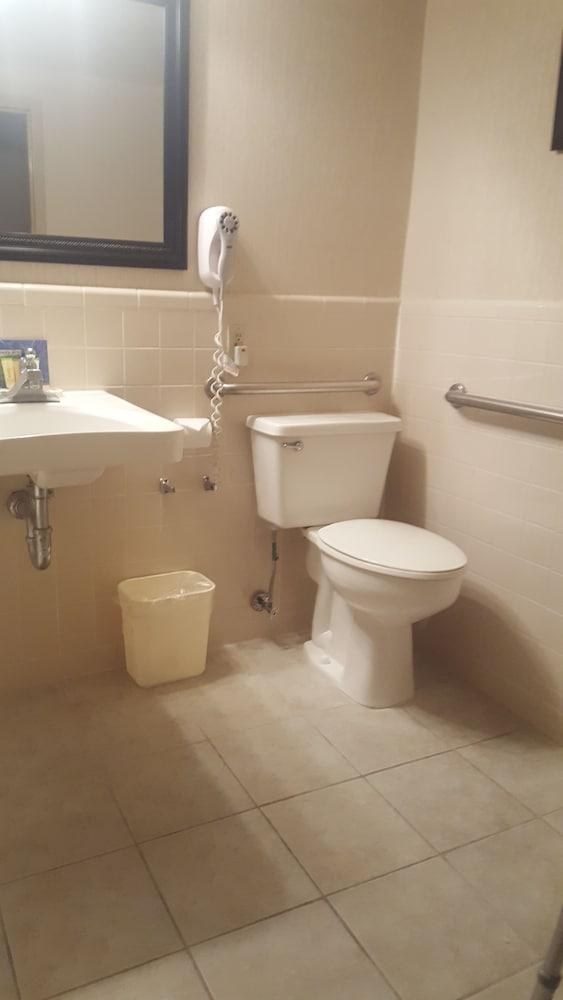 Wingate by Wyndham Williamsburg photo 3
