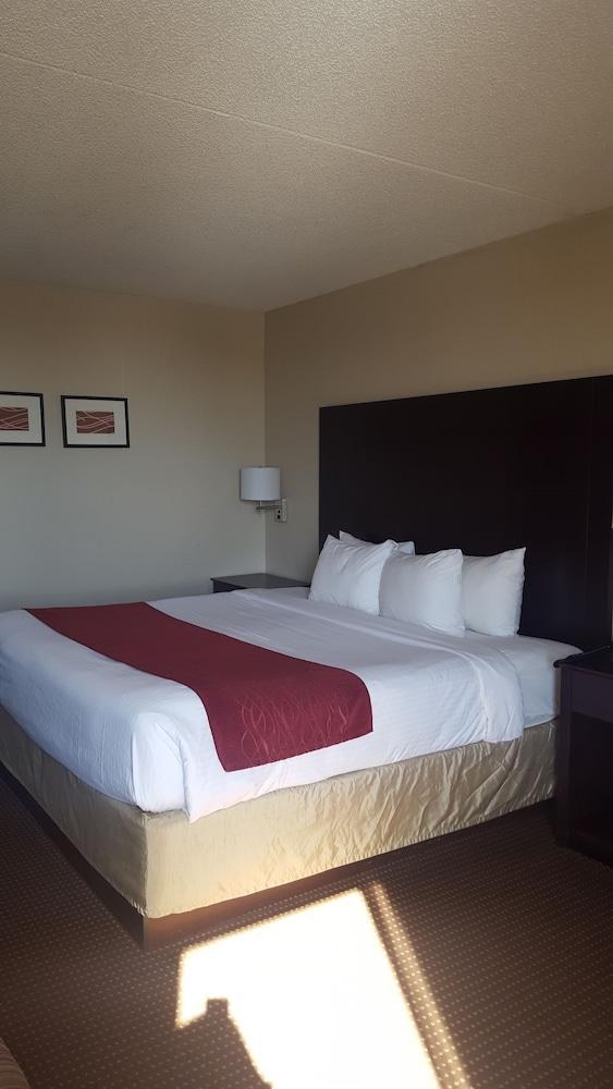 Wingate by Wyndham Williamsburg photo 4