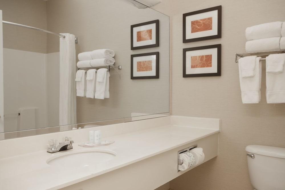 COMFORT SUITES LEXINGTON photo 4