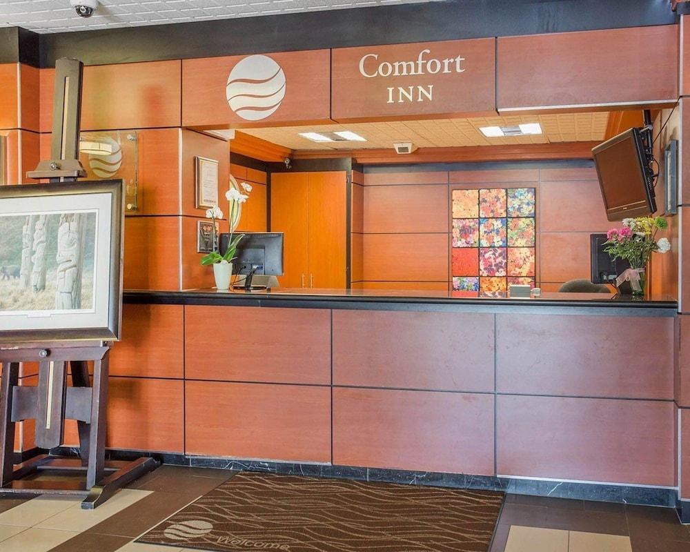COMFORT INN TORONTO AIRPORT photo 3