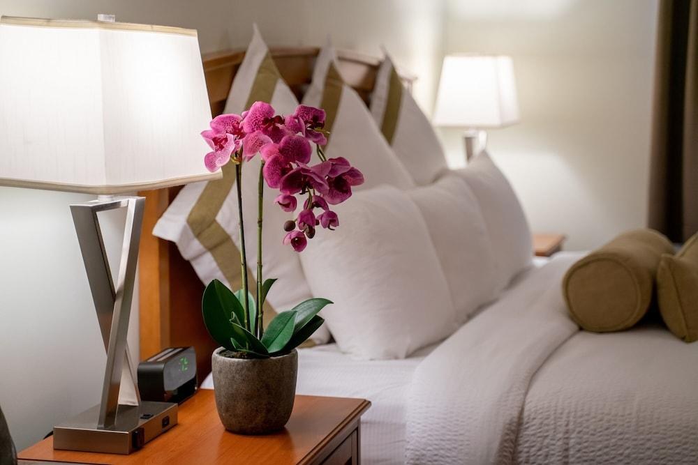 SERVICE PLUS INNS AND SUITES photo 3