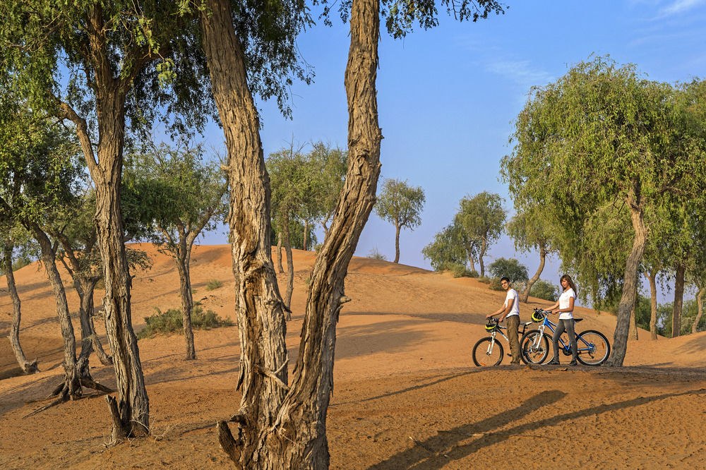 THE RITZ-CARLTON RAS AL KHAIMAH, AL WADI DESERT photo 3