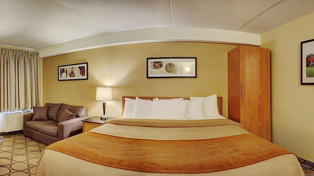 Comfort Inn Sudbury photo 3