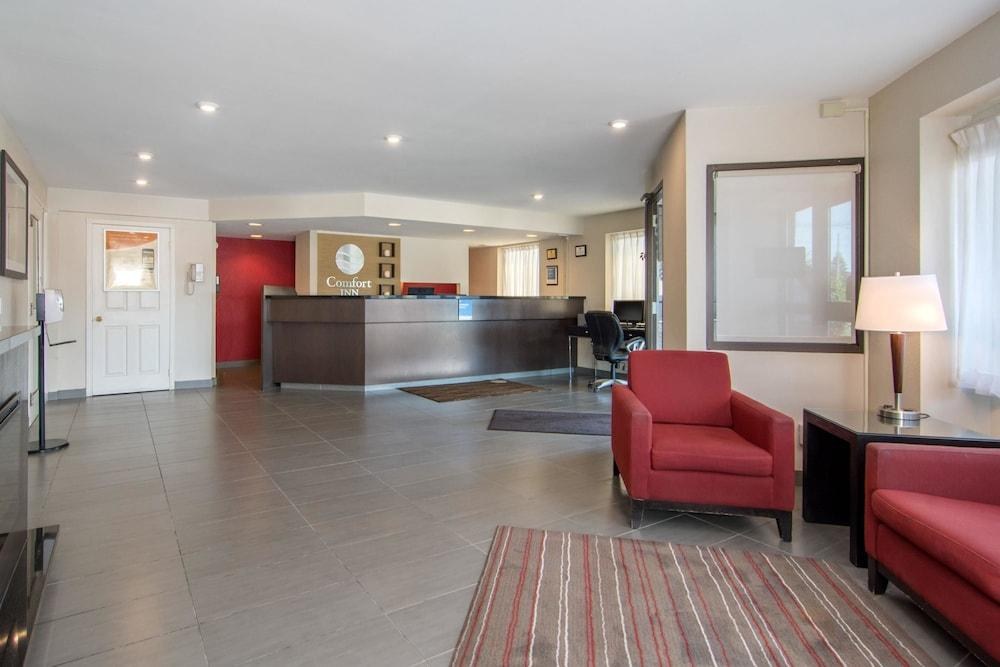 Comfort Inn Sudbury photo 4