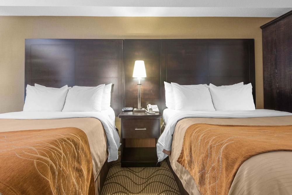 Comfort Inn Airport North Bay photo 3
