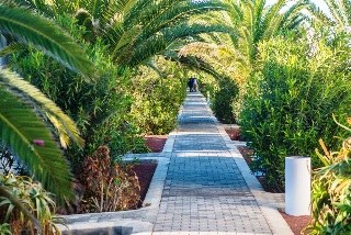 Rio Playa Blanca photo 4