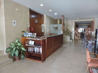 Sol Playa photo 1