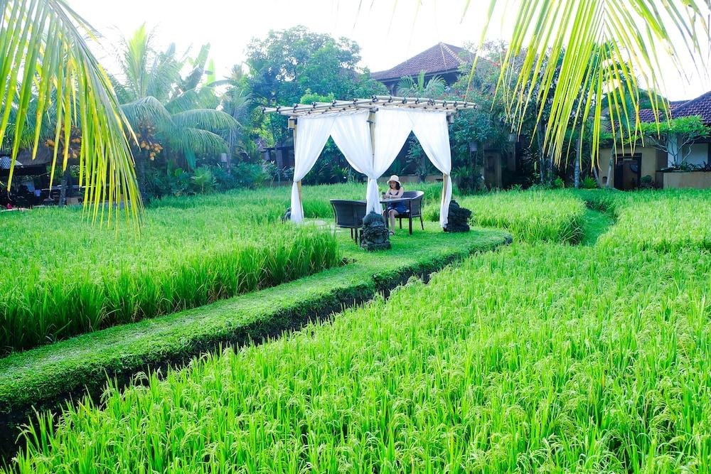 Bebek Tepi Sawah Restaurant & Villas photo 3