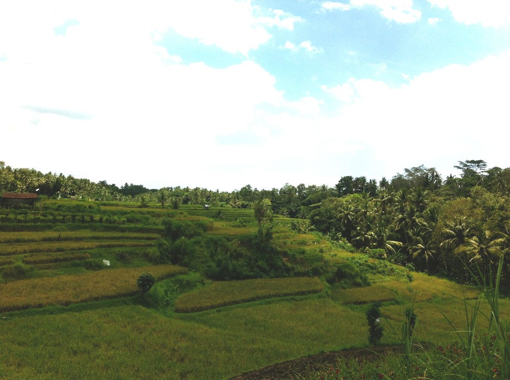 Villa Semana Resort & Spa photo 1