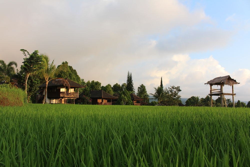 Puri Lumbung Cottages, Restaurant & Spa