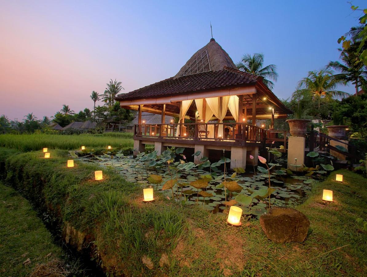 WAPA DI UME UBUD photo 1