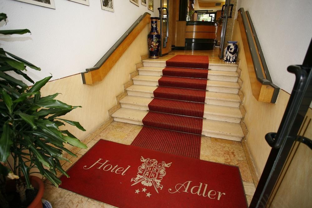 Adler photo 3