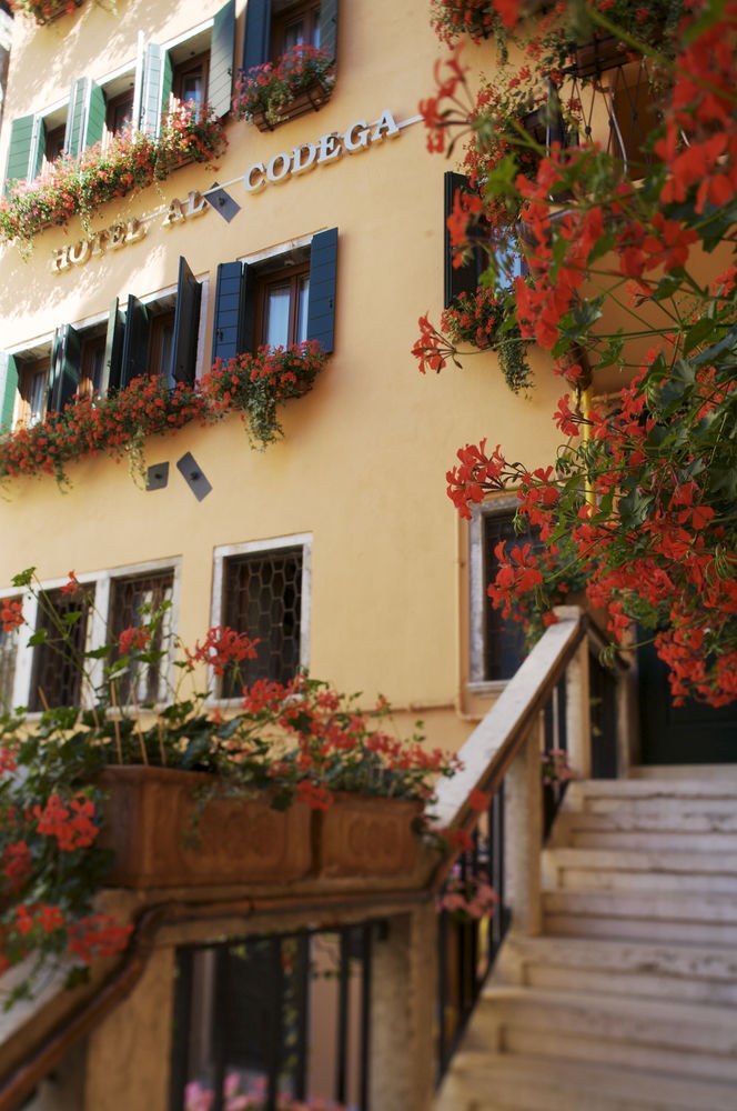Al Codega photo 1