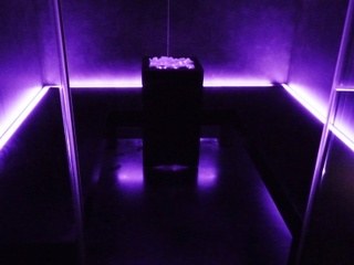 Hotel Milano & Spa photo 3