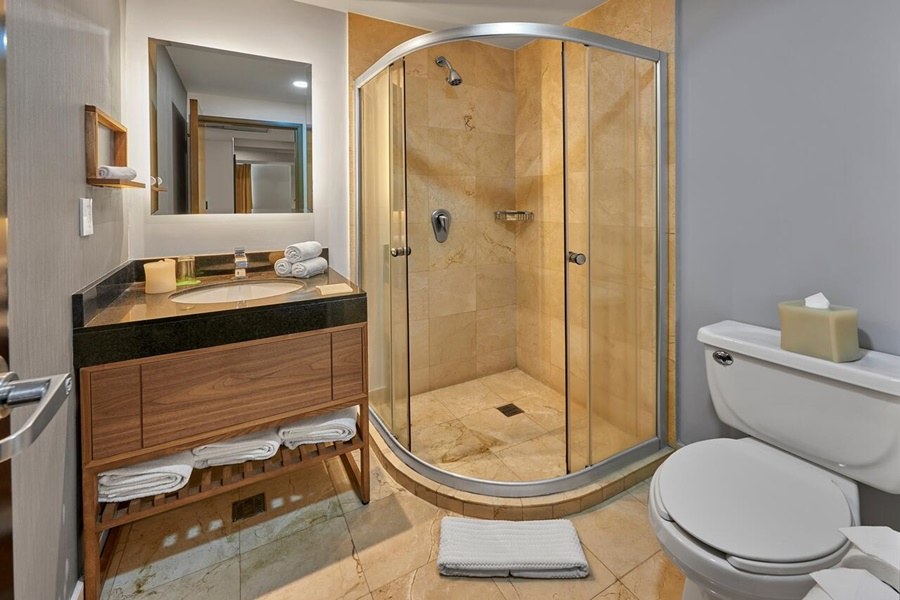 HILTON GARDEN INN MEXICO CITY POLANCO photo 4