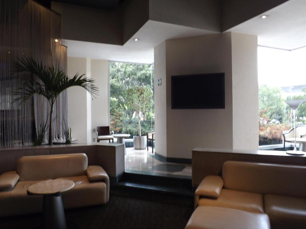 ROYAL PEDREGAL photo 3