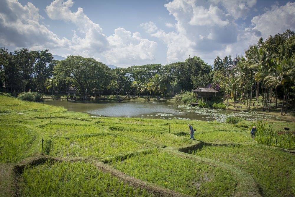 Four Seasons Resort Chiang Mai photo 1