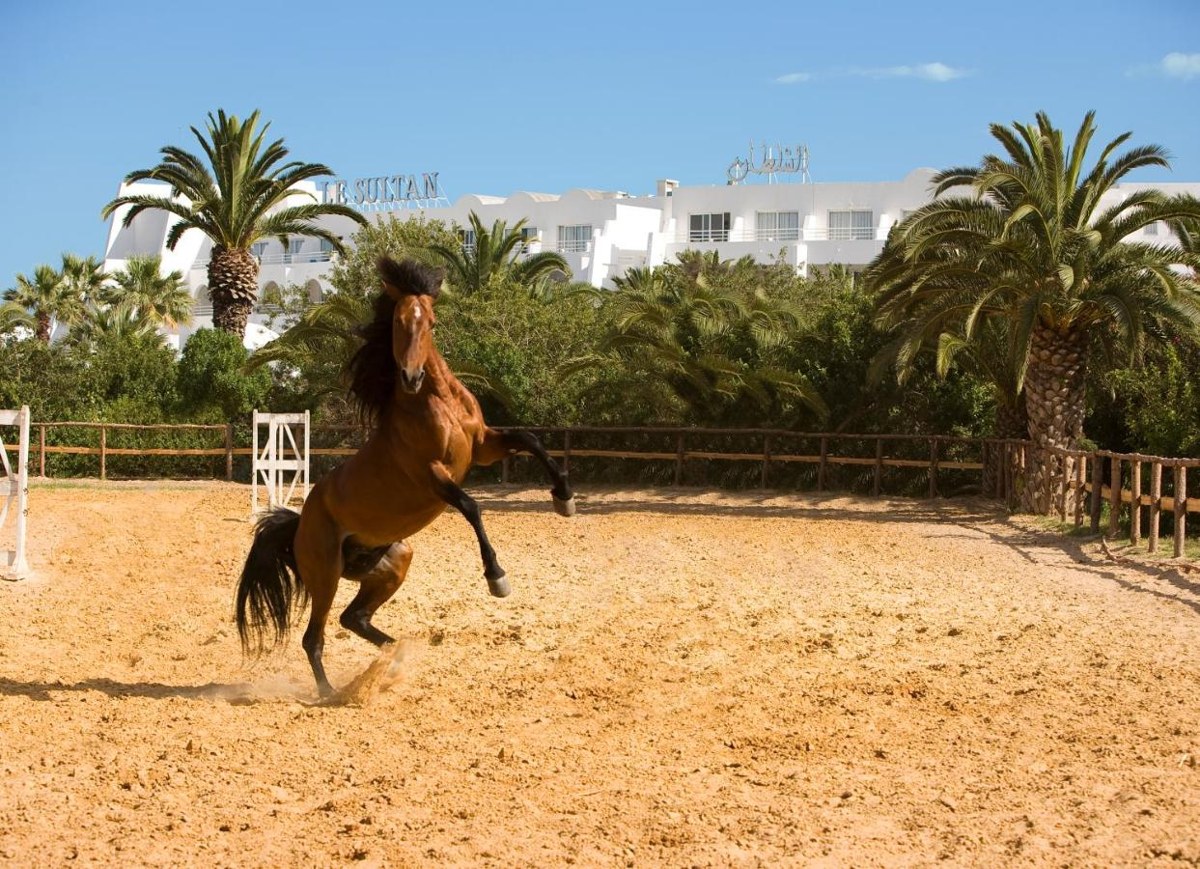 Le Sultan Hammamet photo 3